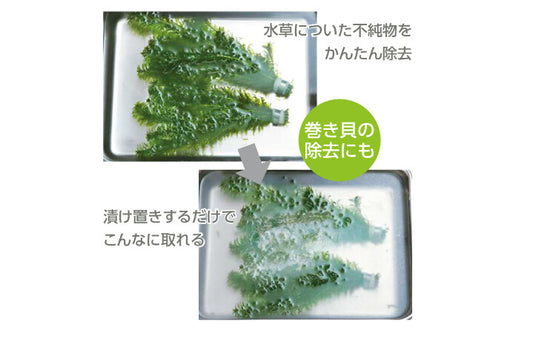 水草クリーン5パック入り（Suisaku）