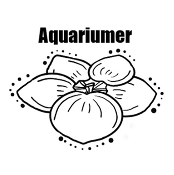 Aquariumerプレミアムパス