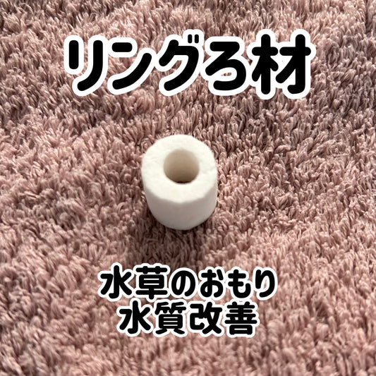 リングろ材10個 新品【少量小分け・最安値自信】