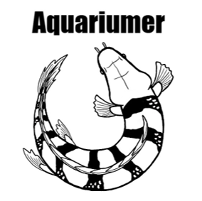 Aquariumerプレミアムパス